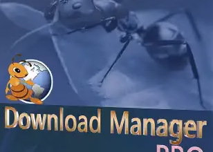 Ant Download Manager Pro v2.16.6 Giveaway [Windows]