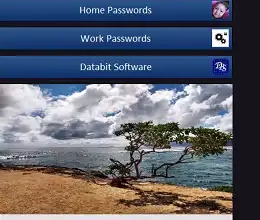 Databit Password Manager Full Version for Free [Windows]