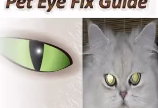 Pet Eye Fix Guide Full  Version for Free -Red Eye Remover on Pet's Photos.