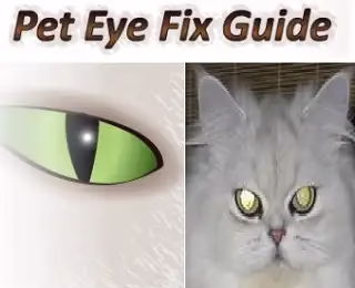 Pet Eye Fix Guide Full  Version for Free -Red Eye Remover on Pet's Photos.