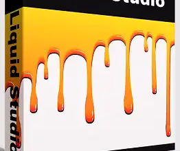 TwistedBrush Liquid Studio Free License- Digital Art Software