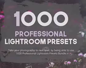 1000 Professional Lightroom Presets from Eldamar Studio Giveaway