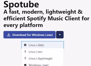 Spotube: Listen to Music Online for Free 🎧