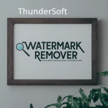 Thundersoft Watermark Remover Free License