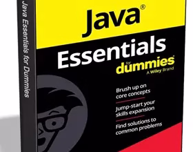 Java Essentials For Dummies eBook for Free (Worth $10)